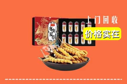 长春市农安回收冬虫夏草